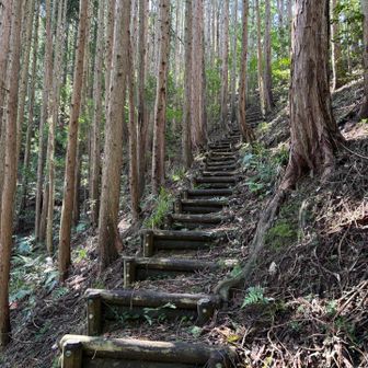 藤坂峠の登山口に到着…丸太の階段を進みます