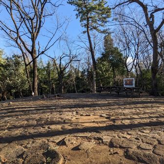 日向山山頂には誰もいなくてさびしい😢けど独占