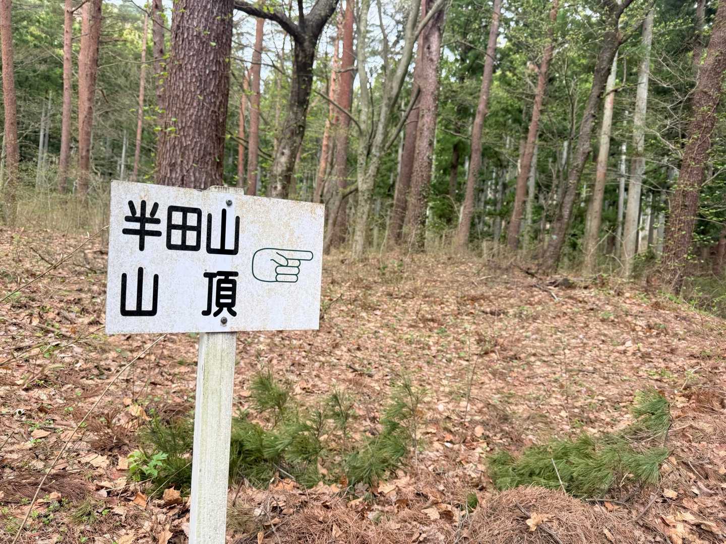 山頂めざしますか！