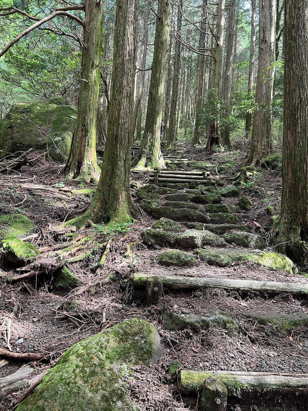 階段はつづく
