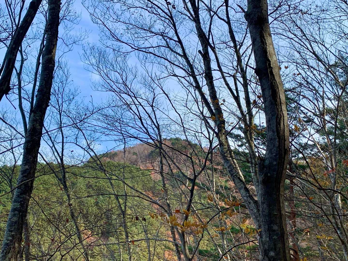 頂上が見えてきた👀