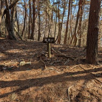 道満山。眺望も良くありませんが、木々の間から見える富士山や甲府盆地にwkwk