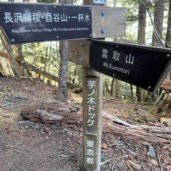 地味な山頂