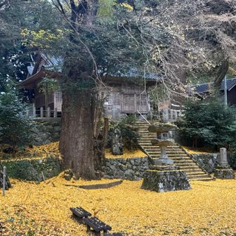 雷神社は黄色一色