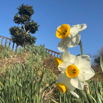 ここまでくる時、道を間違えて尾根の方に上がってしまい、少しだけ藪漕ぎみたいになってしまいました😥