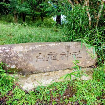 まずは
【白龍神社】にて✨️🙏✨️