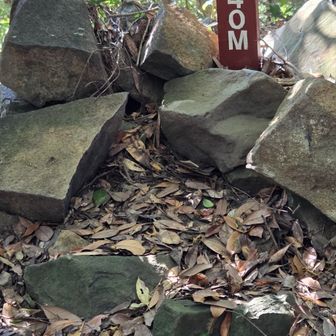 分岐から先ずは八天山へ