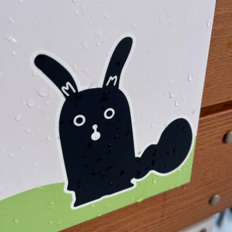 Liveカメラ映り込み📷待ち　写ってなかった…