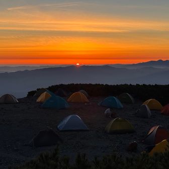 🌅