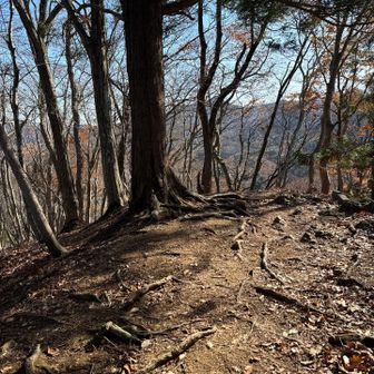 標識のない🌕月居山頂上⛰️
袋田の滝から、長ーい階段をのぼり切る
でも、地図には地名がしっかりあるのに、標識ないのはちょっと寂しくな🈚️