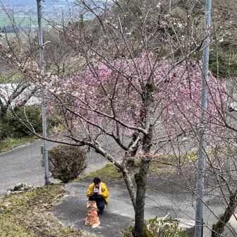 見てください、この人の顔🥸
ちょろいですね🎣