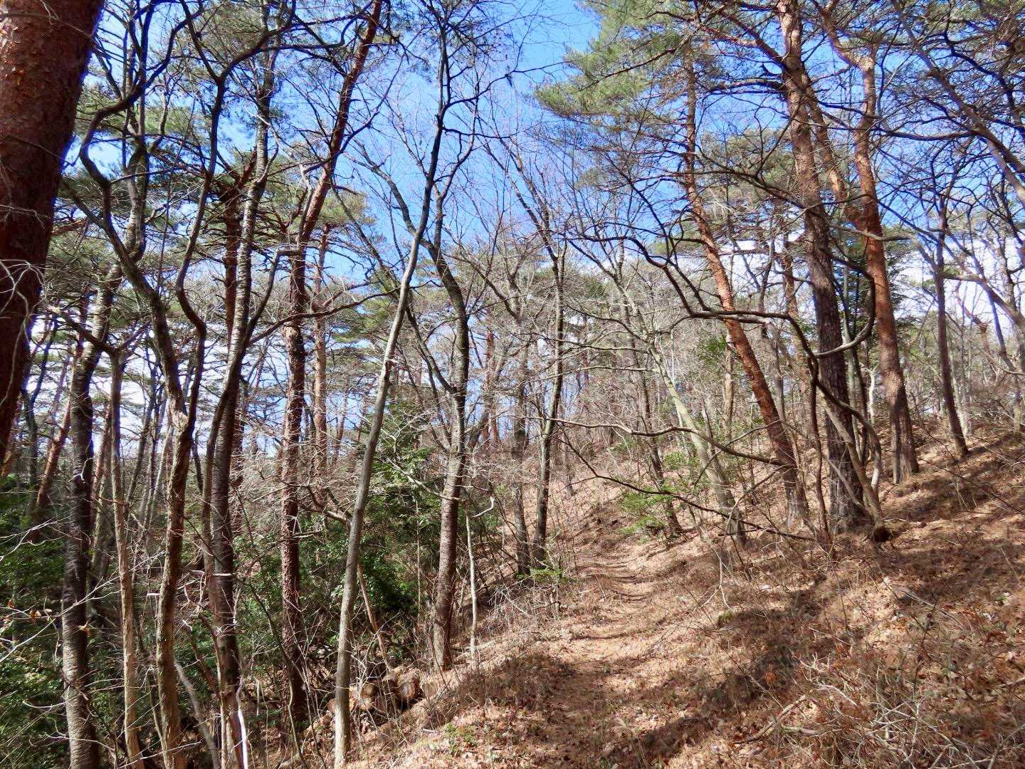 勝賀岩登り口-宗賀岩 往復コースの写真