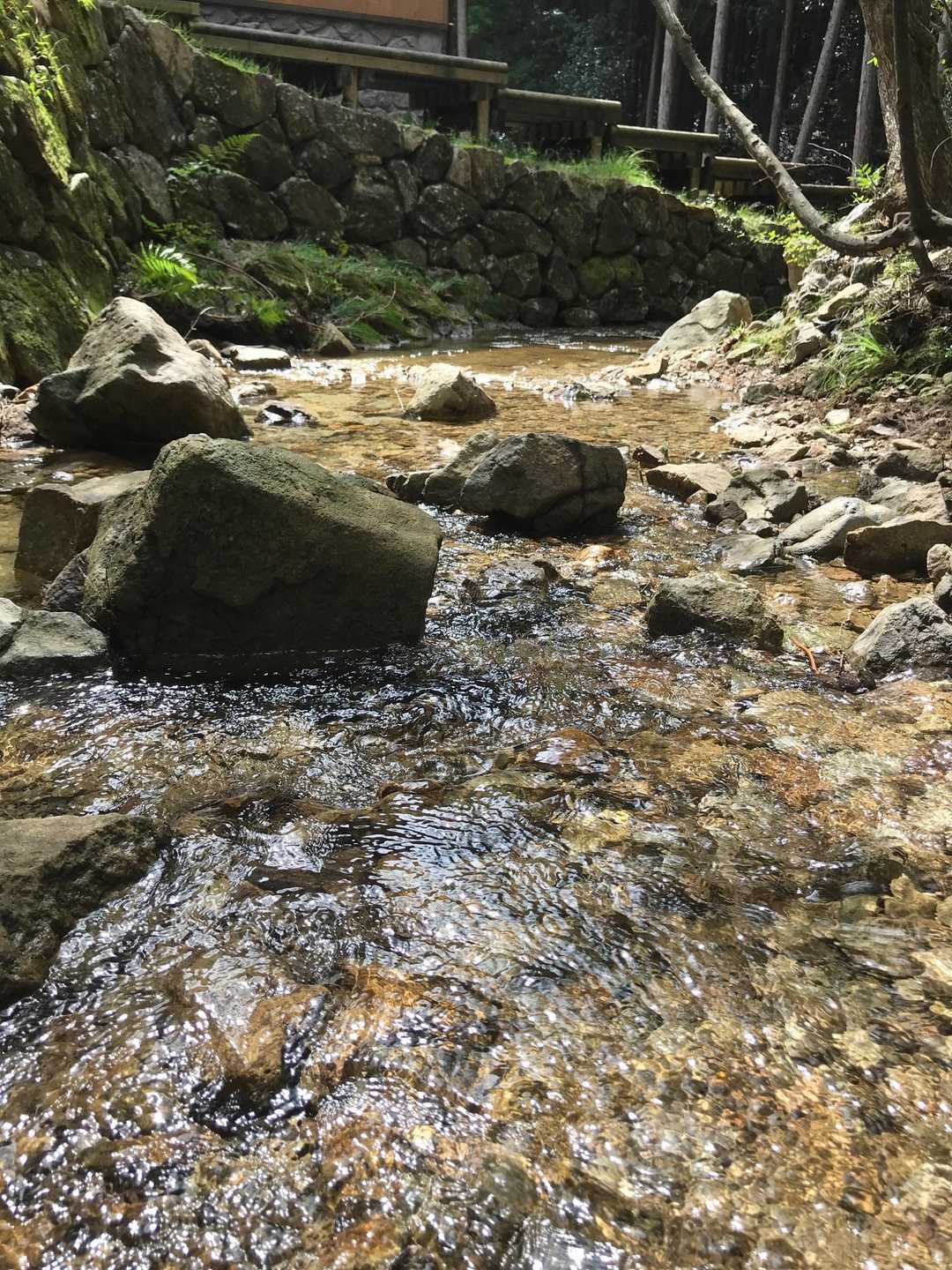 黒木山 周回コースの写真