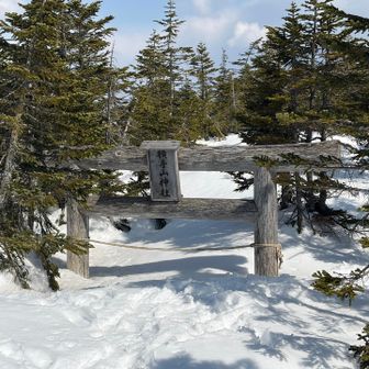 横手山の山頂へ行ってきます⛩️