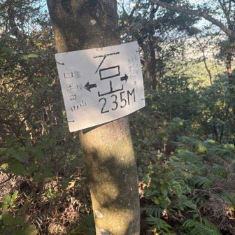 そしてバダバタ石山登頂！