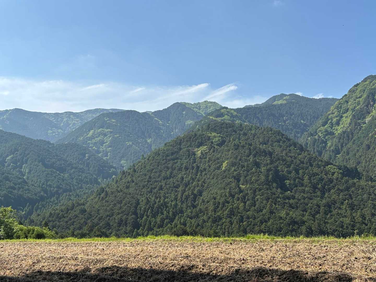 いい天気☀️
