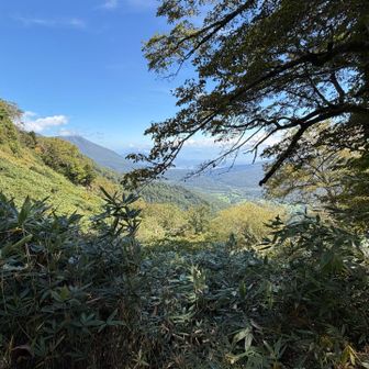 慎重に下山開始