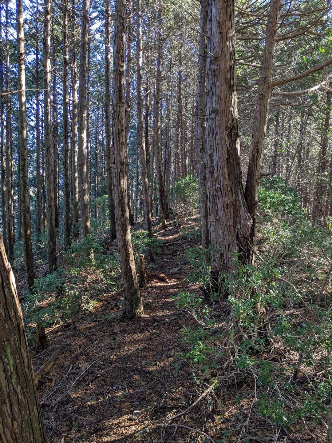 気持ち良い🎵
