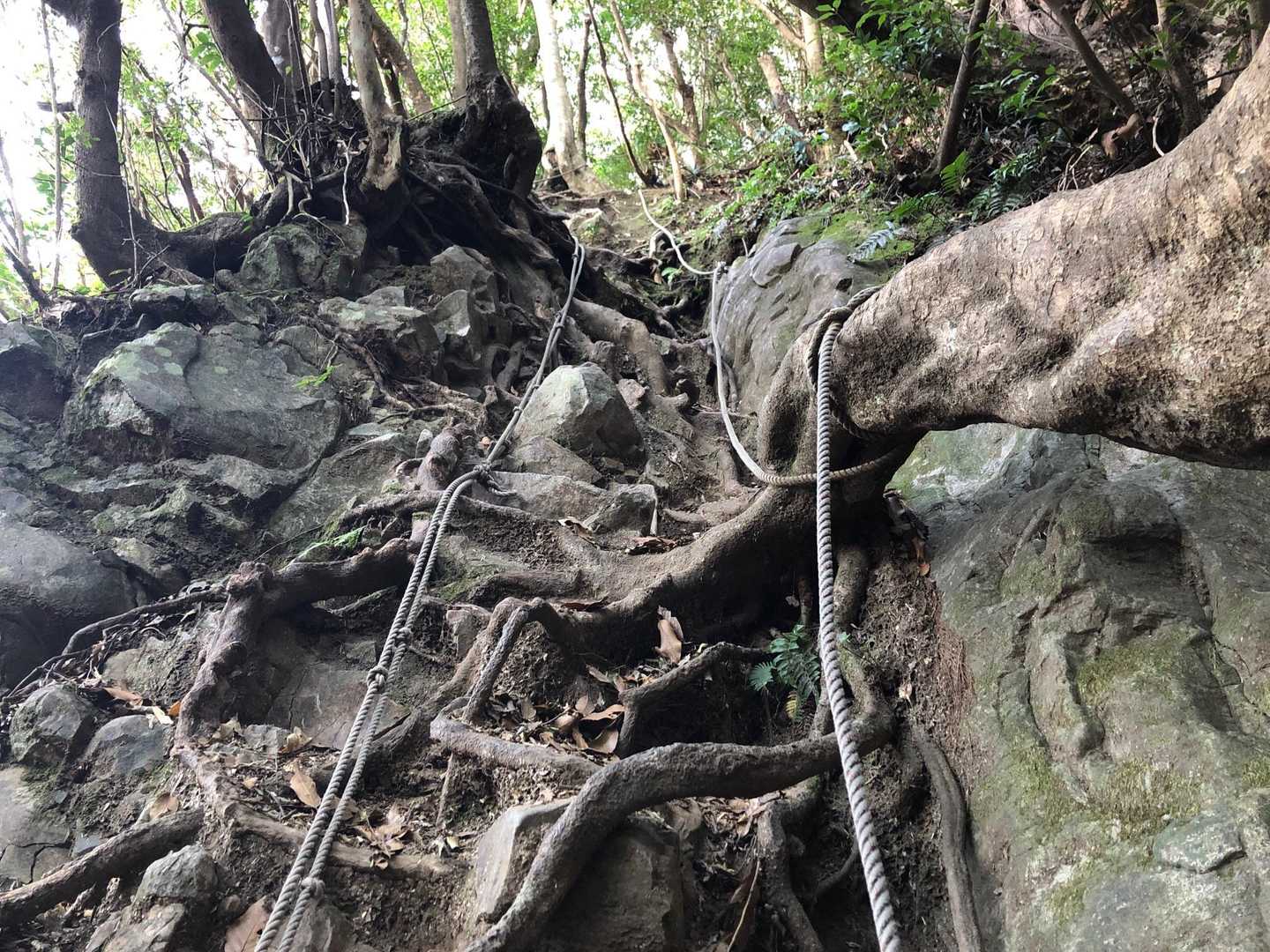 山頂近くでロープ場