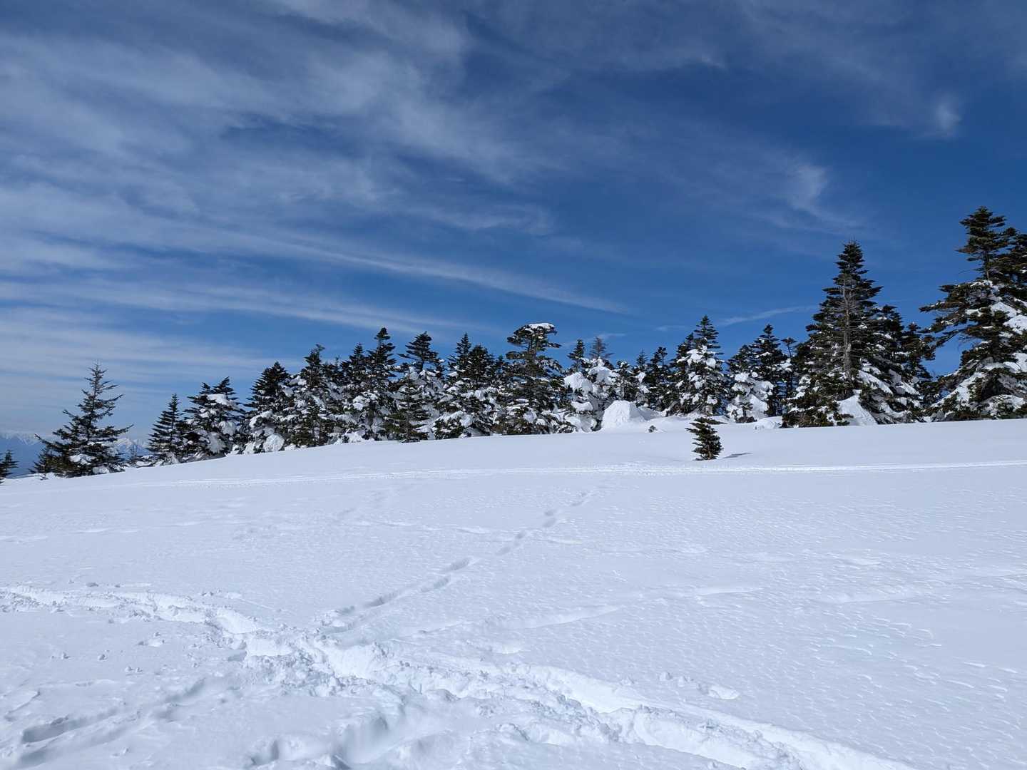 雪は膝下くらい