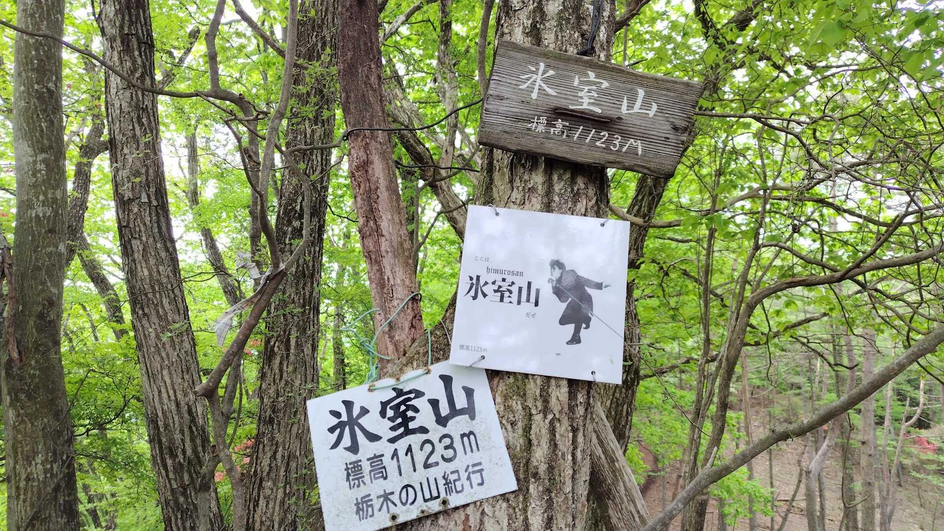 みなさんの活動日記でみていました👀

氷室山山頂山名板🪧

そうなると~💡

やっぱり…

真似したくなりますよねっ🤭(お約束)