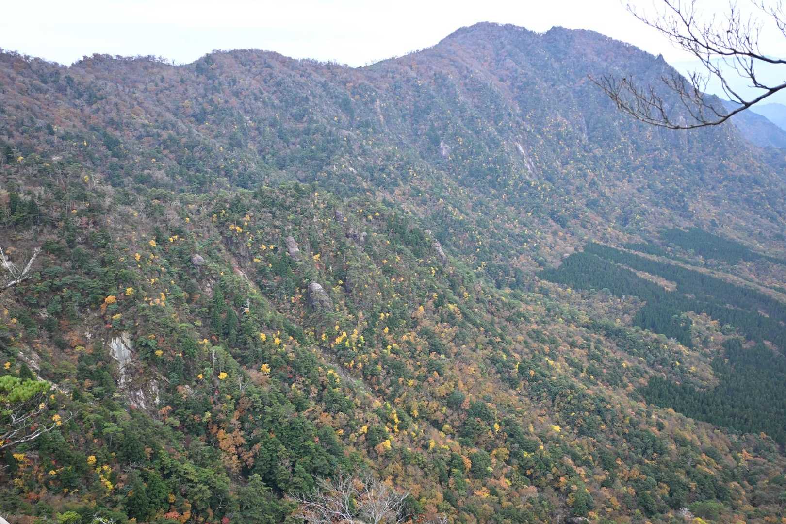 山肌が赤にオレンジに綺麗