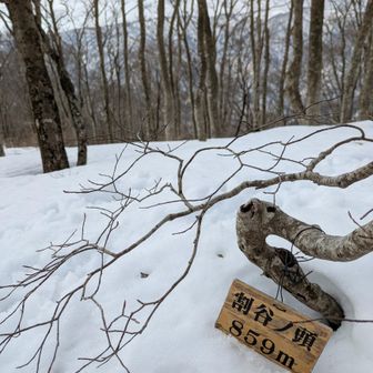 ひっそりした所だな