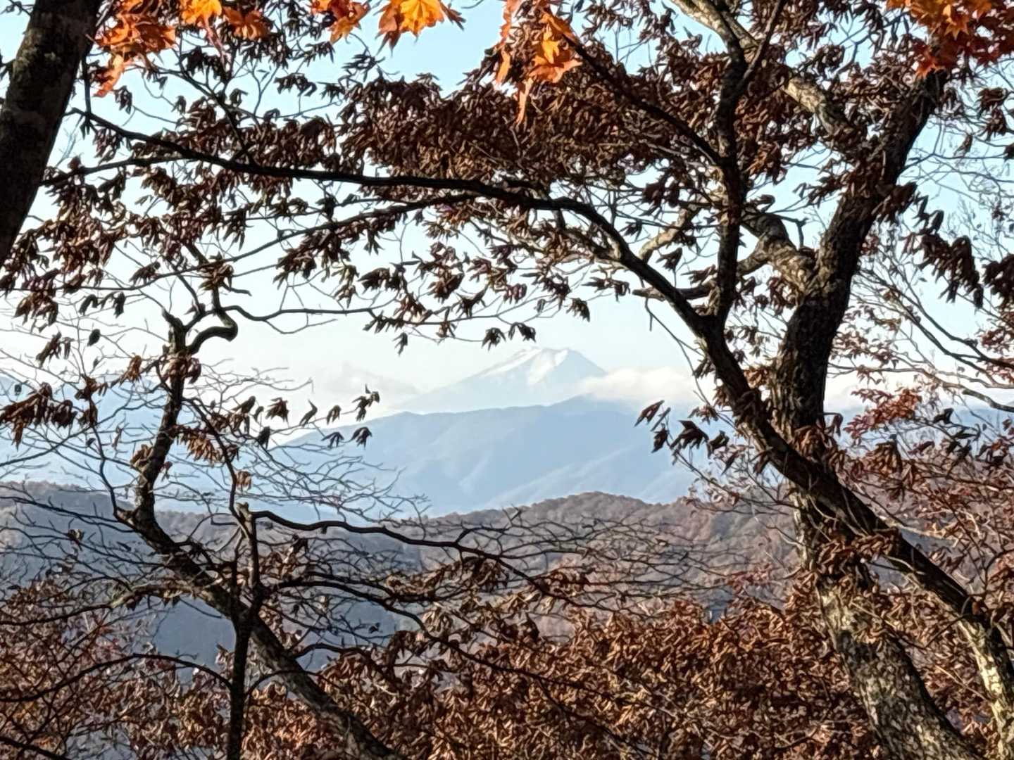 富士山🗻