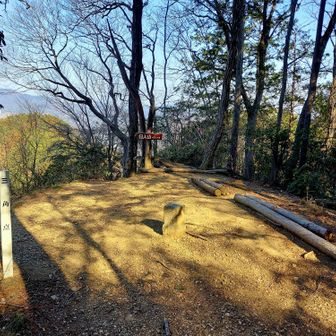 ベンチもあり、ここで朝ごパン🥐
ウグイスの声を聴きながら、まったり贅沢な時間☺️
あぁ…、ねむい…めっちゃ眠い😑
もう下山して家に帰って寝ようかとよぎるほど眠い😪

そしてボーッとしてたせいか違う方向に進んでしまい、またここに登り返しました😓