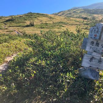 湿地帯は木道が整備されてます
が、一部崩壊ゾーンも有り