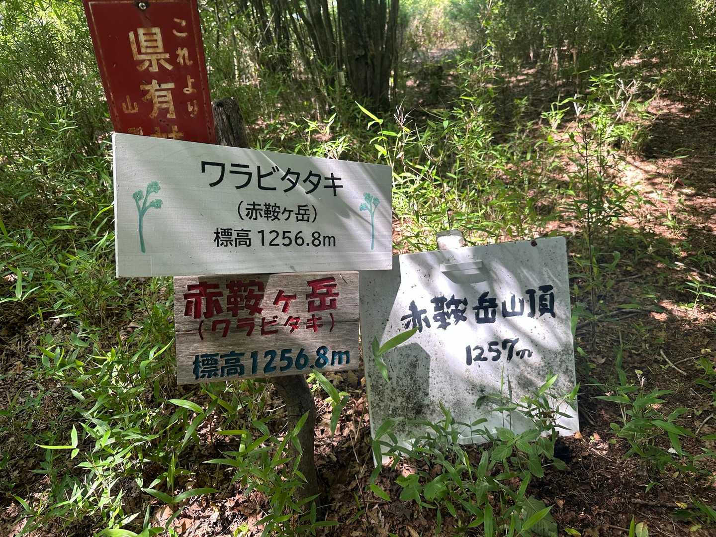 ここも赤鞍ヶ岳🤔？