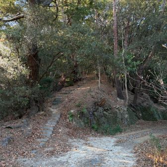 山道との遊歩道の別れ道。
