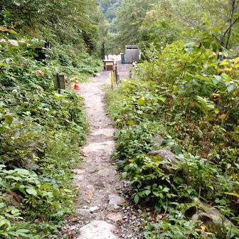 登山口に戻って来ましたね