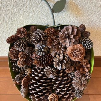 薫ちゃん遅くなってごめんね