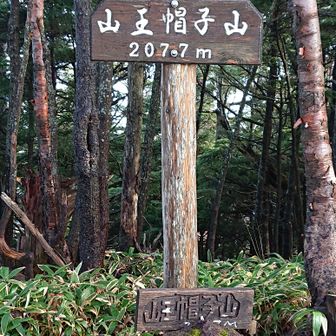 ねも