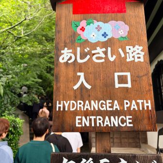 何年振りだろう