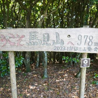 山頂到着