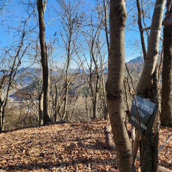 都留アルプス山、この先は尾根道で歩きやすい