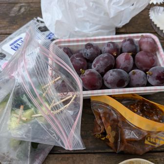 タムラ農園自家製のブドウ藤稔🍇
