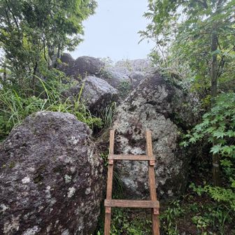 ここを登ると眺望が期待できたのかも。霧でどうせ見えないし、滑って転んでもバカらしいし登らなかった