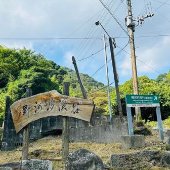 野河内渓谷入口