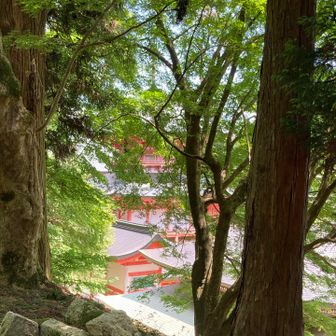 樹々の間から塔が見える