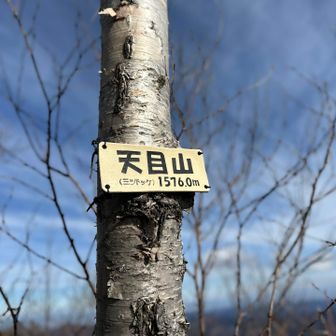 天目山に到着、陶器の標識