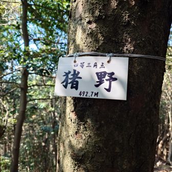 10座目とうちゃこ