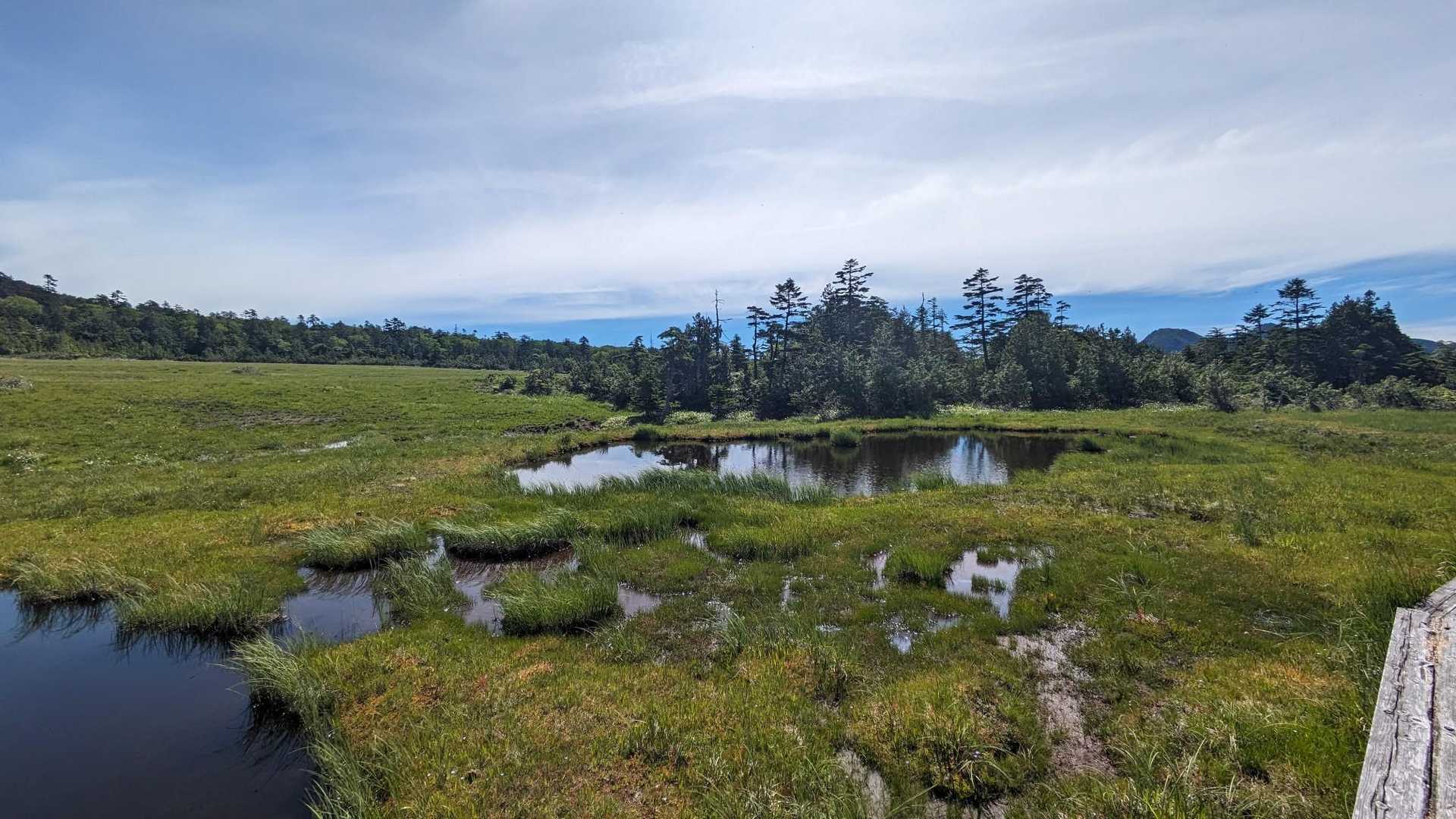 鬼怒沼山 往復コースの写真