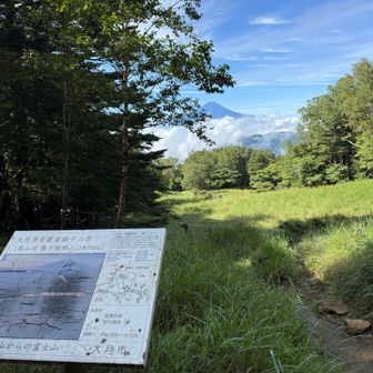 私は秀麗富嶽十二景よ！って書いてある！