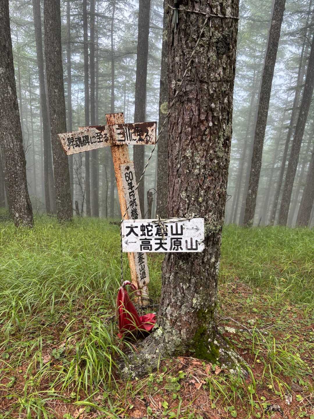 高天原山へ