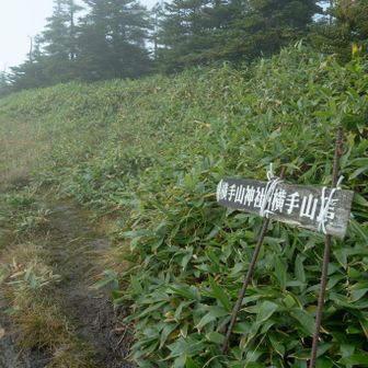 雨続きなので道もドロドロ気味