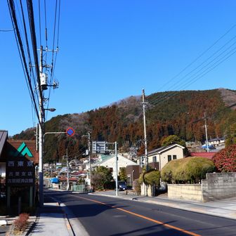 しばらく大多摩ウォーキングトレイルと同じ道を。