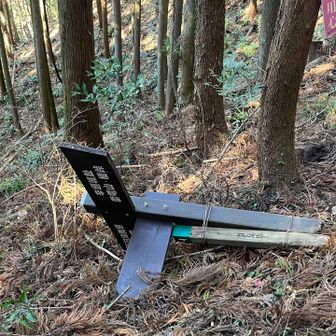 行きには立っていた標識が戻ってきたら倒れてた